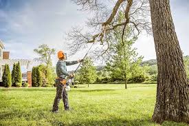 Best Grass Overseeding  in Sunnyvale, CA
