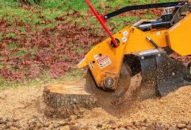Best Storm Damage Tree Cleanup  in Sunnyvale, CA